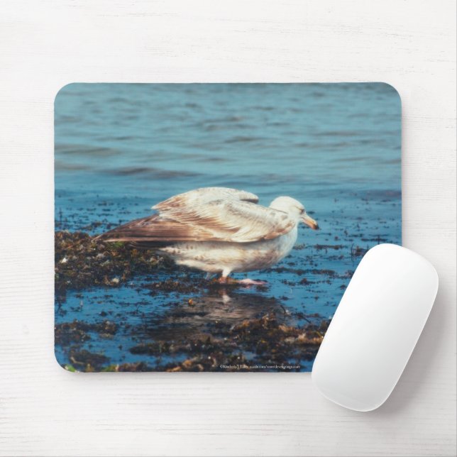 Sill Gull P1046 Musmatta (Med mus)