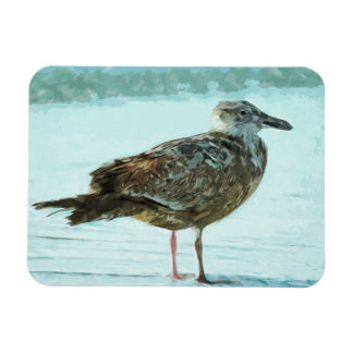 Sill Gull på Abstrakten Beach Magnet