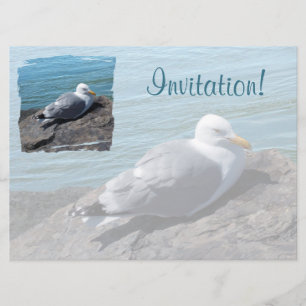 Sill Gull Resten på Sten Jetty: Inbjudningar