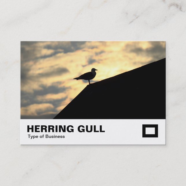 Sill Gull Sunset Visitkort (Framsida)