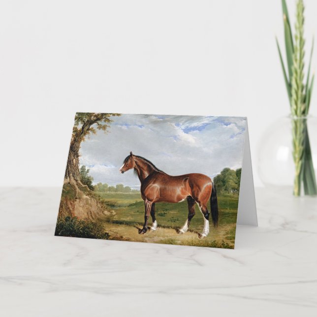 Sill/strömming - A Clydesdale Stallion, bra art. Kort (Framsida)