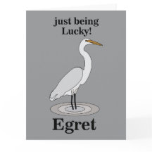 Sillen Lycklig Fågel