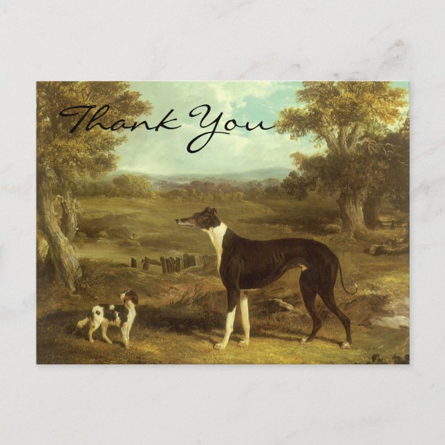 Sill's Greyhound and Spain; Doktor Fop Vykort (Framsida)