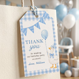 Silly Goose Blå Gingham Pojkfödelsedagspresent Tag Presentetikett