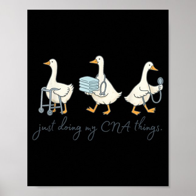 Silly Goose CNA-examen Söt Certifierad Omvårdnad Poster (Framsidan)