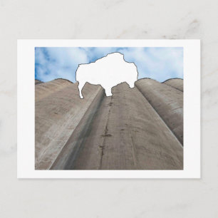 Silo- och Buffalo-vykort Vykort