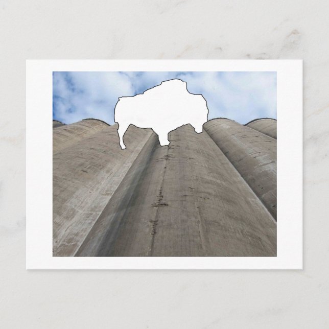 Silo- och Buffalo-vykort Vykort (Framsida)