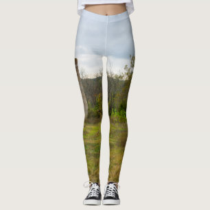 Silo still Stands Leggings