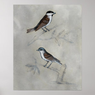 Silved Aviary Fågelpar Poster