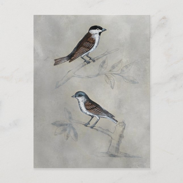 Silved Aviary | Fågelpar Vykort (Framsida)