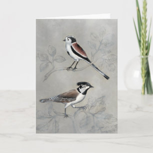 Silved Aviary Par Kort