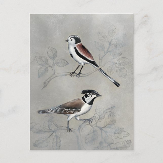 Silved Aviary | Par Vykort (Framsida)