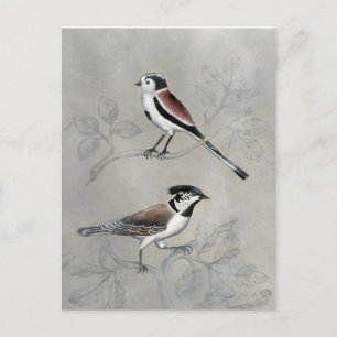Silved Aviary Par Vykort
