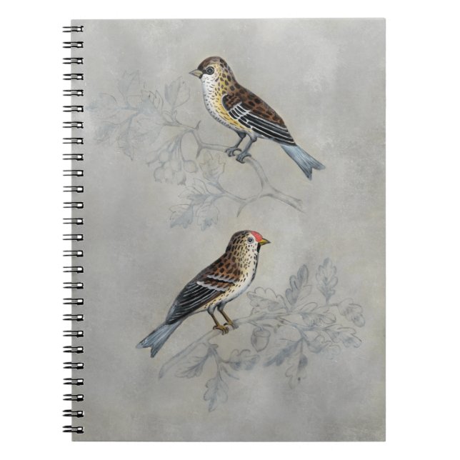 Silved Aviary | Två fåglar Anteckningsbok (Framsidan)