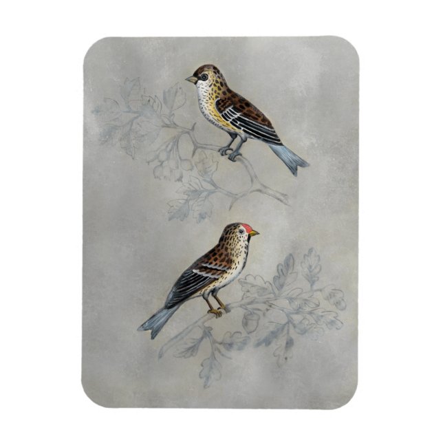 Silved Aviary | Två fåglar Magnet (Vertikal)