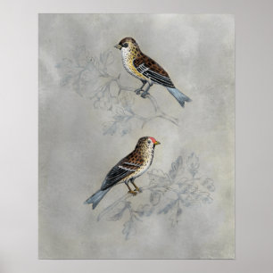 Silved Aviary Två fåglar Poster
