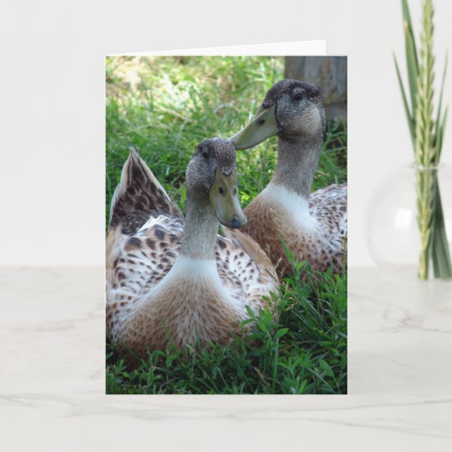 Silver Appleyard Drakes Kort (Framsida)