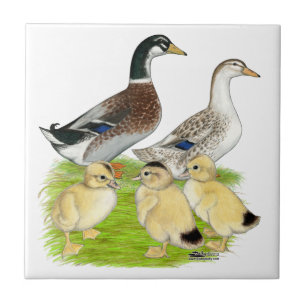 Silver Appleyard Family Kakelplatta