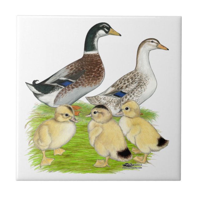 Silver Appleyard Family Kakelplatta (Framsidan)