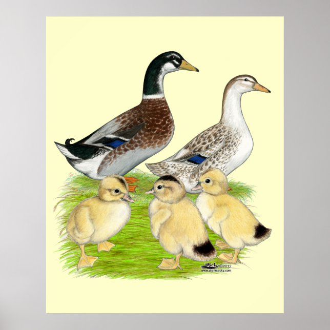 Silver Appleyard Family Poster (Framsidan)