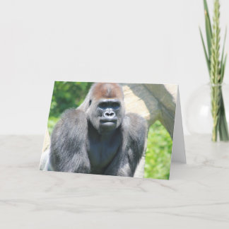 Silver Back Gorilla Kort
