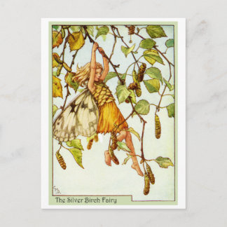 Silver Birch Fairy Vykort