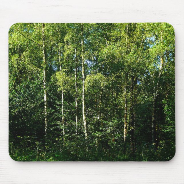 Silver Birch Musmatta (Framsidan)
