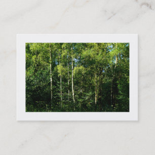 Silver Birch Träd, Mini Photo Visitkort