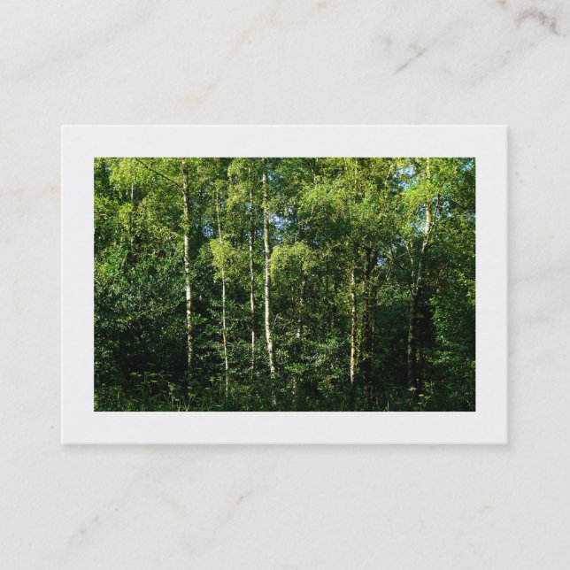 Silver Birch Träd, Mini Photo Visitkort (Framsida)