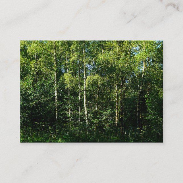 Silver Birch Träd, Mini Photo Visitkort (Framsida)