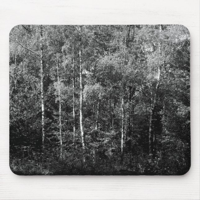 Silver Birch&W Musmatta (Framsidan)