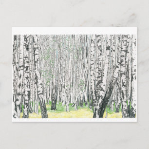 Silver Birch Wood - vykort