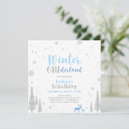 Silver & Blå Vinter Onederland 1:a Första Födelsed Inbjudningar