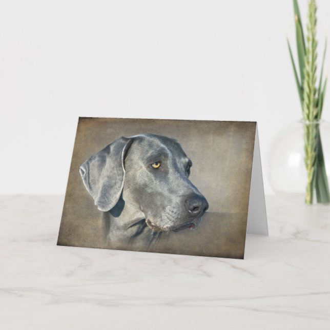 Silver Blue Weimaraner Porträtt Kort (Framsida)