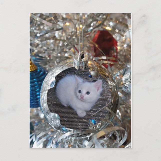 Silver Bulb Fullt Ram Vykort (Framsida)