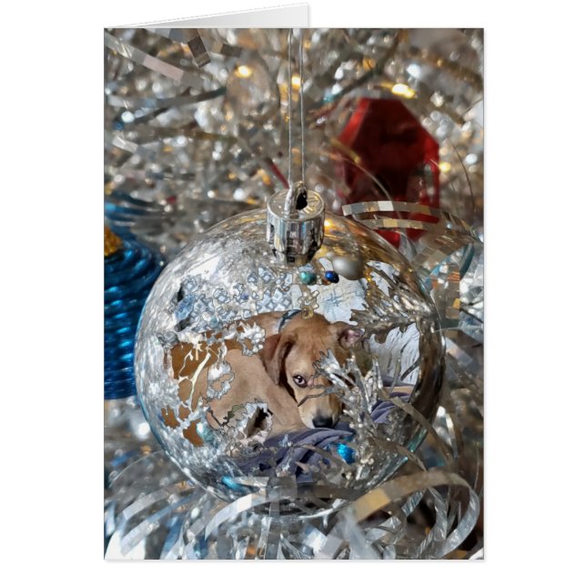 Silver Bulb Reflect Hälsningskort (Framsidan)