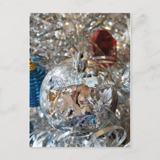 Silver Bulb Reflect Vykort