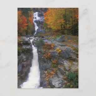 Silver Cascade Autumn Vykort