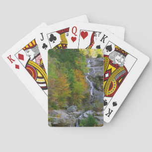 Silver Cascade Waterfall Casinokort