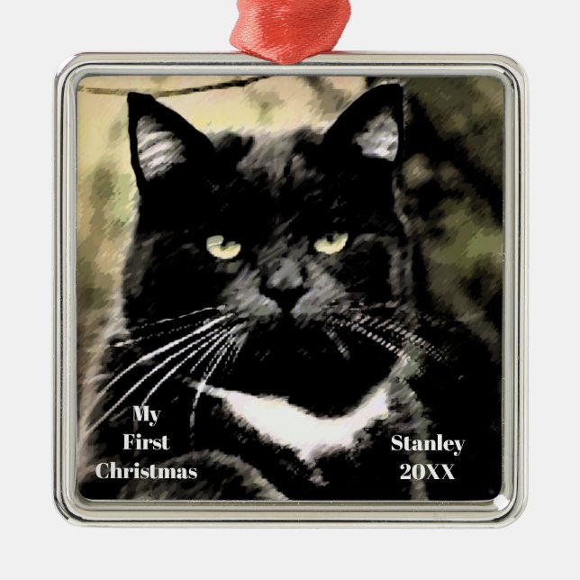 Silver Cat Min första julfoto Ornaments Julgransprydnad Metall (Framsidan)