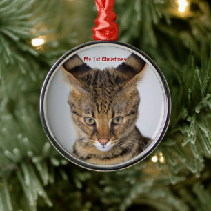 Silver Cat Min första julfoto Ornaments Julgransprydnad Metall