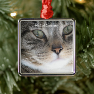 Silver Cat Mitt andra julfoto Julgransprydnad Metall