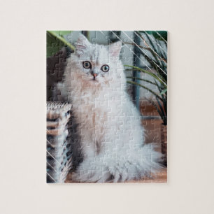 Silver Chinchilla Persian Hårig Cat Brown Basket Pussel
