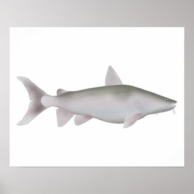 Silver Cobbler Poster (Framsidan)