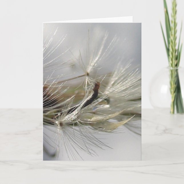 Silver Dandelion Poof Shimmers i Sol Kort (Framsida)