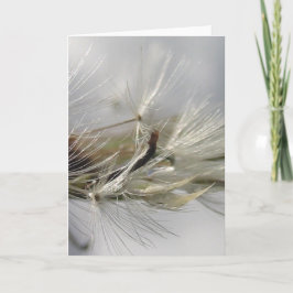 Silver Dandelion Poof Shimmers i Sol Kort