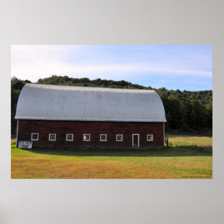 Silver Dome - Skriv ut Poster