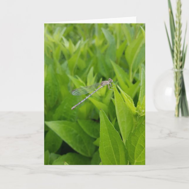 Silver Dragonfly Notecards (Blank Inside) Kort (Framsida)