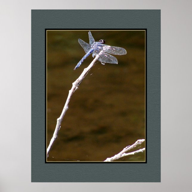 Silver Dragonfly Poster (Framsidan)