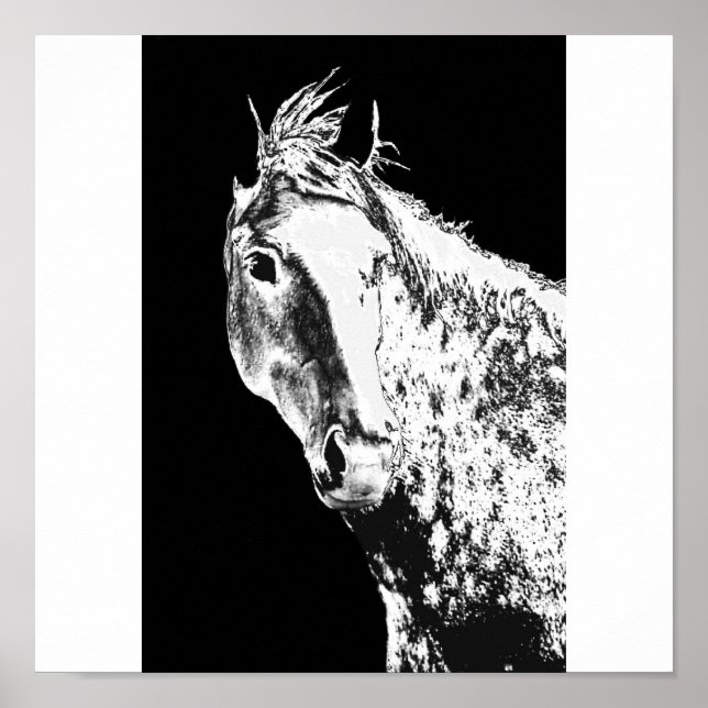 silver dröm poster (Framsidan)